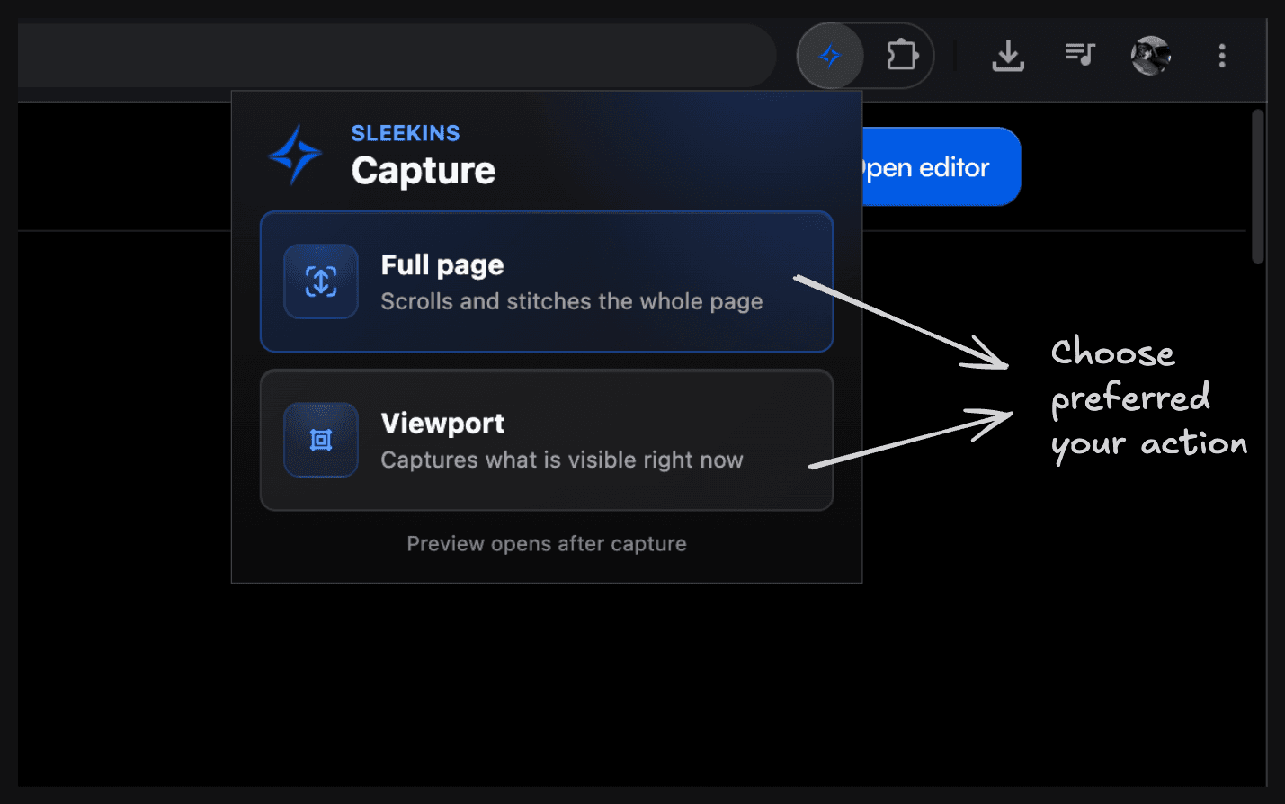 Sleekins Capture popup showing Full page and Viewport screenshot options in Chrome