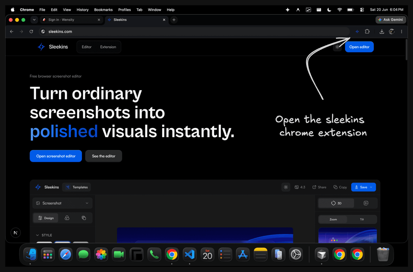 Sleekins homepage in Chrome with the Sleekins extension icon highlighted in the browser toolbar