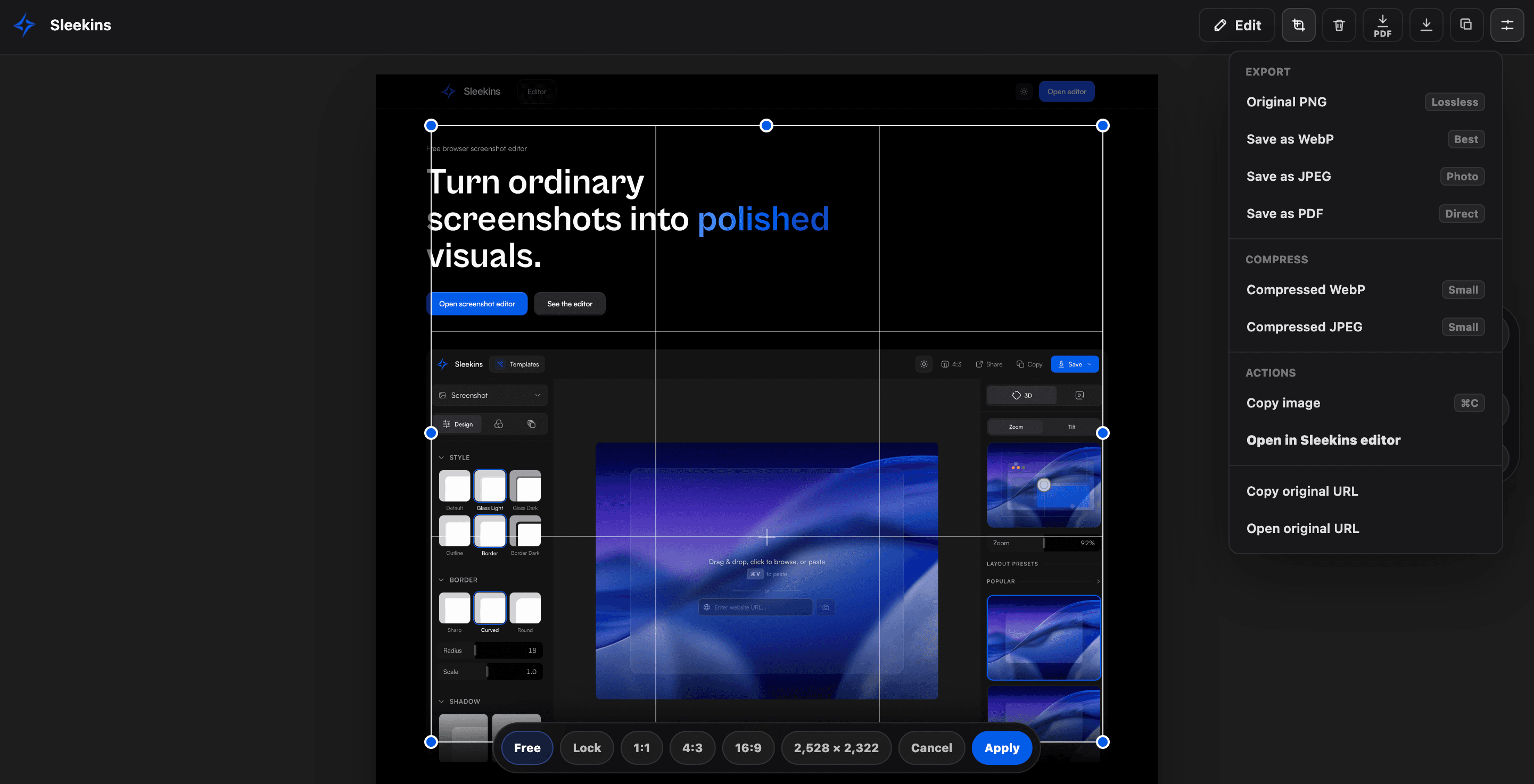 Capture opened directly in the Sleekins screenshot editor
